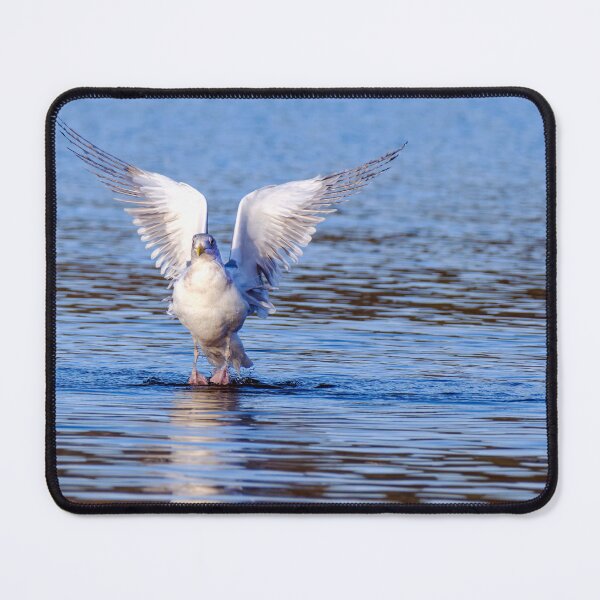 Item preview, Gull rising up from the water, wings extended designed and sold by lisavonbiela.