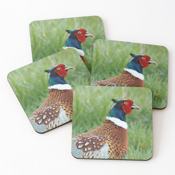Item preview, Encounter with a Ring-Necked Pheasant designed and sold by walkswithnature.