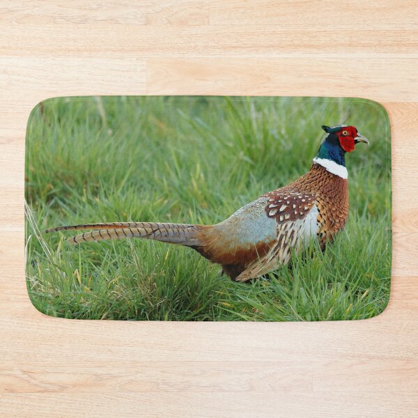 Item preview, Encounter with a Ring-Necked Pheasant designed and sold by walkswithnature.