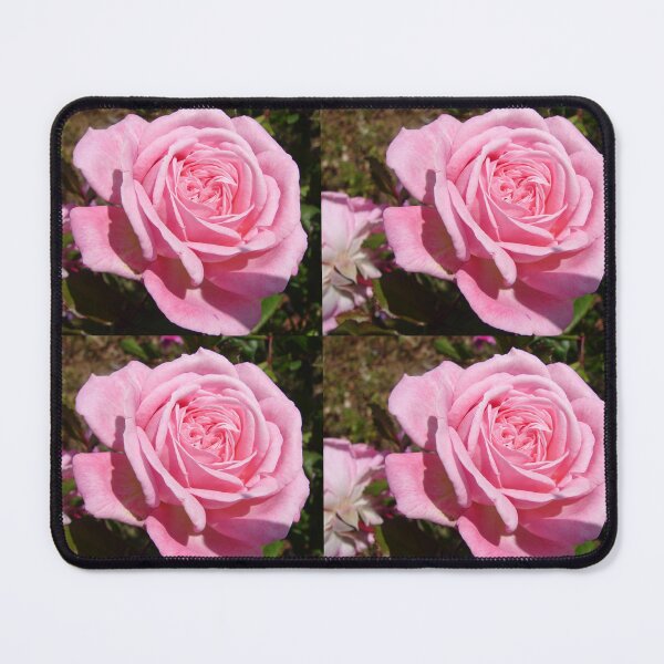 Item preview, Pink Rose Lovely designed and sold by Sarah Rajkotwala.