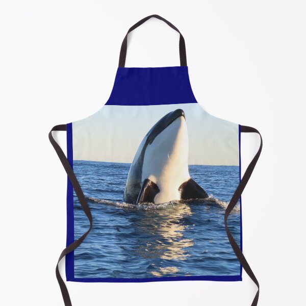 Artikelvorschau, Orca Spyhop entworfen und verkauft von Whale & Dolphin Wisdom Retreats.
