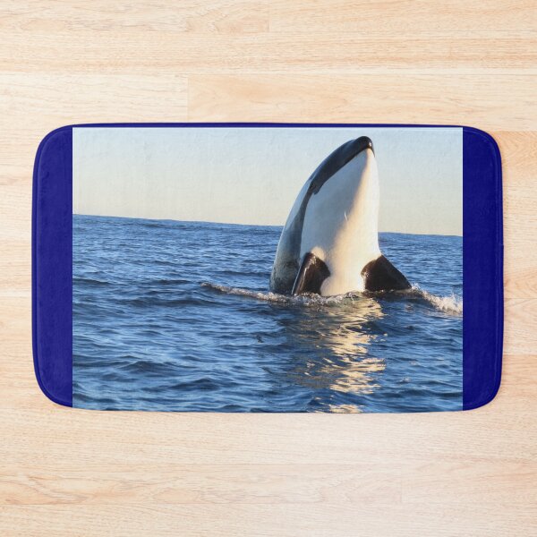 Artikelvorschau, Orca Spyhop entworfen und verkauft von Whale & Dolphin Wisdom Retreats.