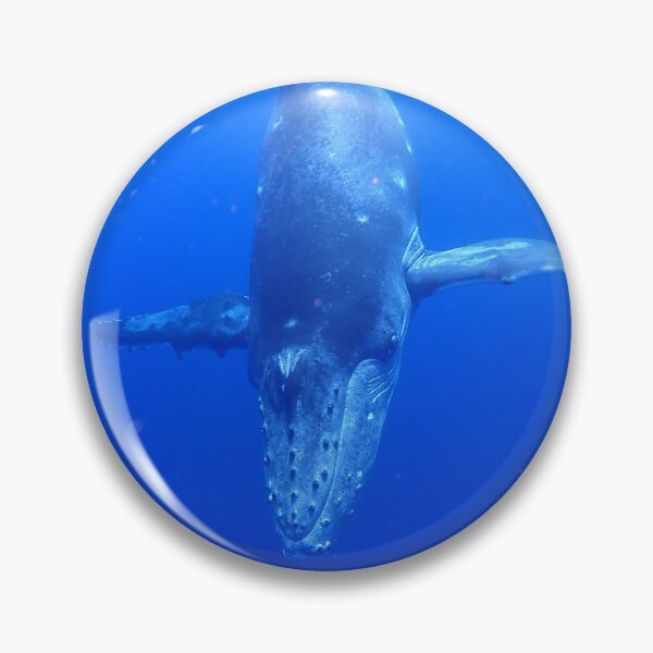 Item preview, Diving Humpback Whale Calf designed and sold by Whale & Dolphin Wisdom Retreats.