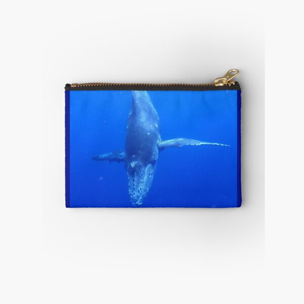 Item preview, Diving Humpback Whale Calf designed and sold by Whale & Dolphin Wisdom Retreats.