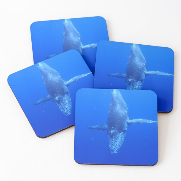 Item preview, Diving Humpback Whale Calf designed and sold by Whale & Dolphin Wisdom Retreats.