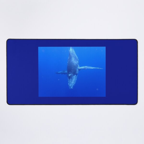 Item preview, Diving Humpback Whale Calf designed and sold by Whale & Dolphin Wisdom Retreats.