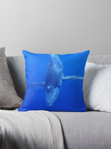 Artikel-Vorschau von Tauchendes Buckelwal-Kalb, designt und verkauft von Whale & Dolphin Wisdom Retreats.