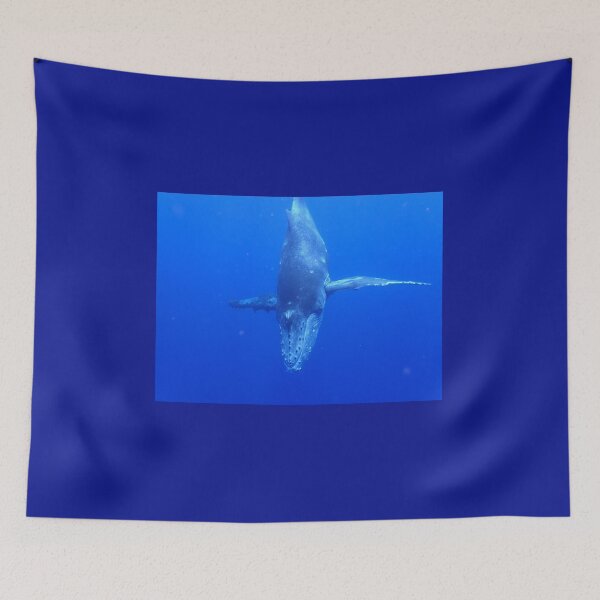 Item preview, Diving Humpback Whale Calf designed and sold by Whale & Dolphin Wisdom Retreats.