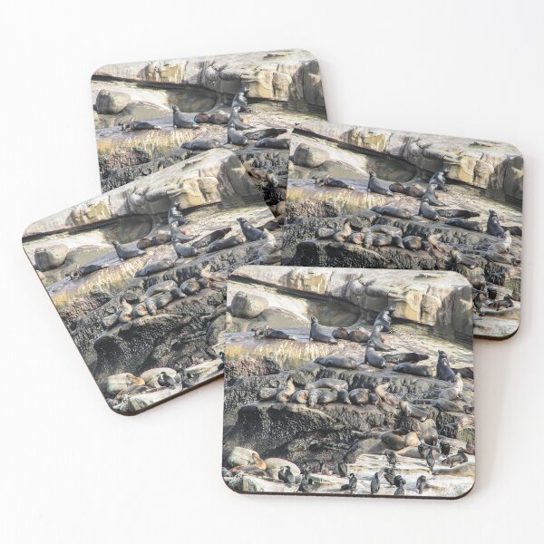 Item preview, Seal City on the San Diego Coast designed and sold by heatherfriedman.