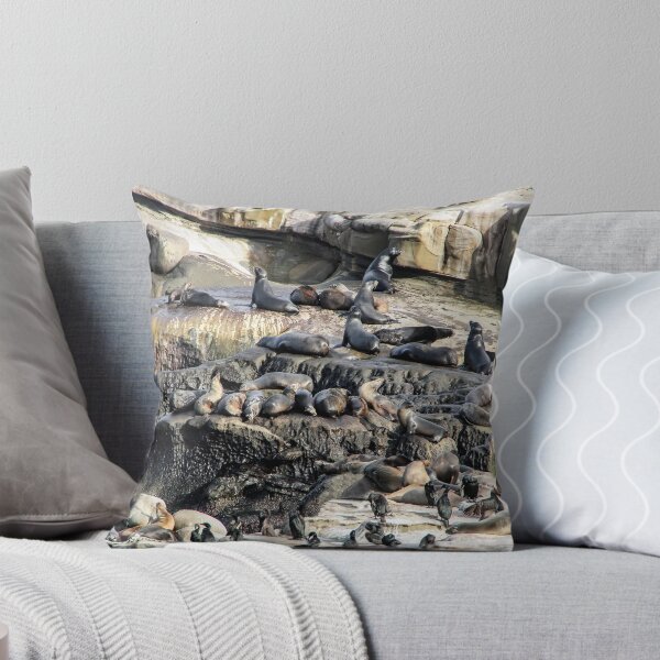 Item preview, Seal City on the San Diego Coast designed and sold by heatherfriedman.