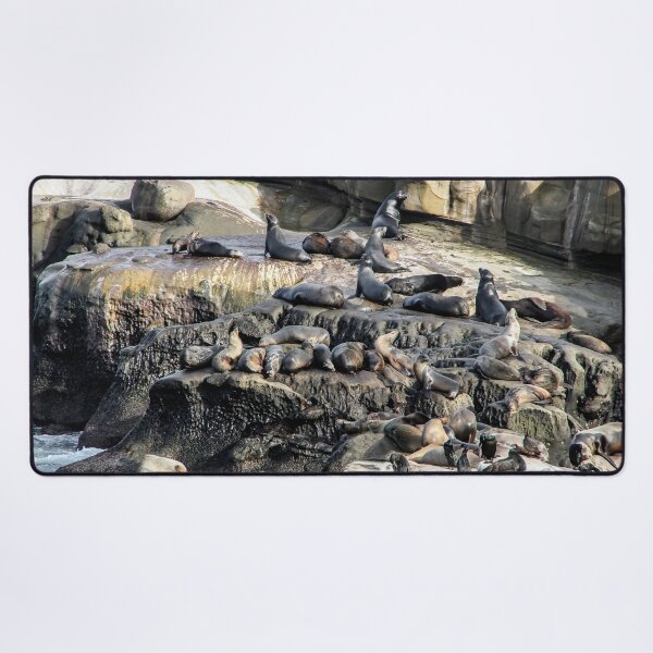 Item preview, Seal City on the San Diego Coast designed and sold by heatherfriedman.