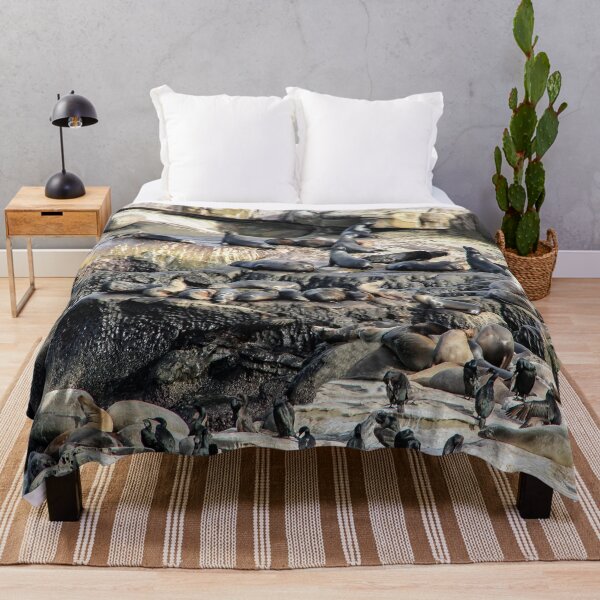 Item preview, Seal City on the San Diego Coast designed and sold by heatherfriedman.