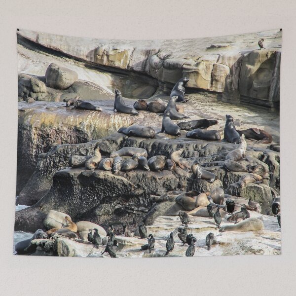 Item preview, Seal City on the San Diego Coast designed and sold by heatherfriedman.