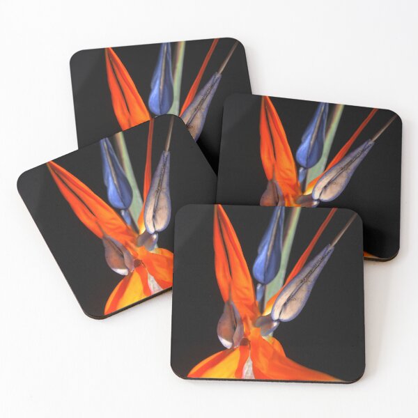 Item preview, Strelitzia Sensation designed and sold by Larry Davis.