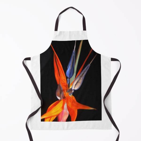 Item preview, Strelitzia Sensation designed and sold by Larry Davis.