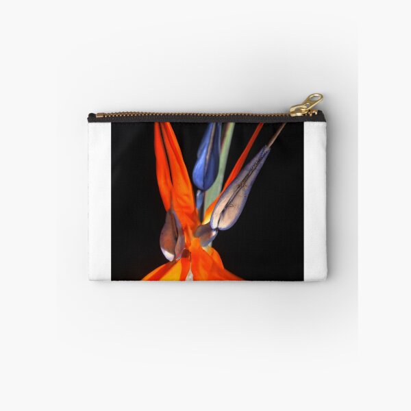 Item preview, Strelitzia Sensation designed and sold by Larry Davis.