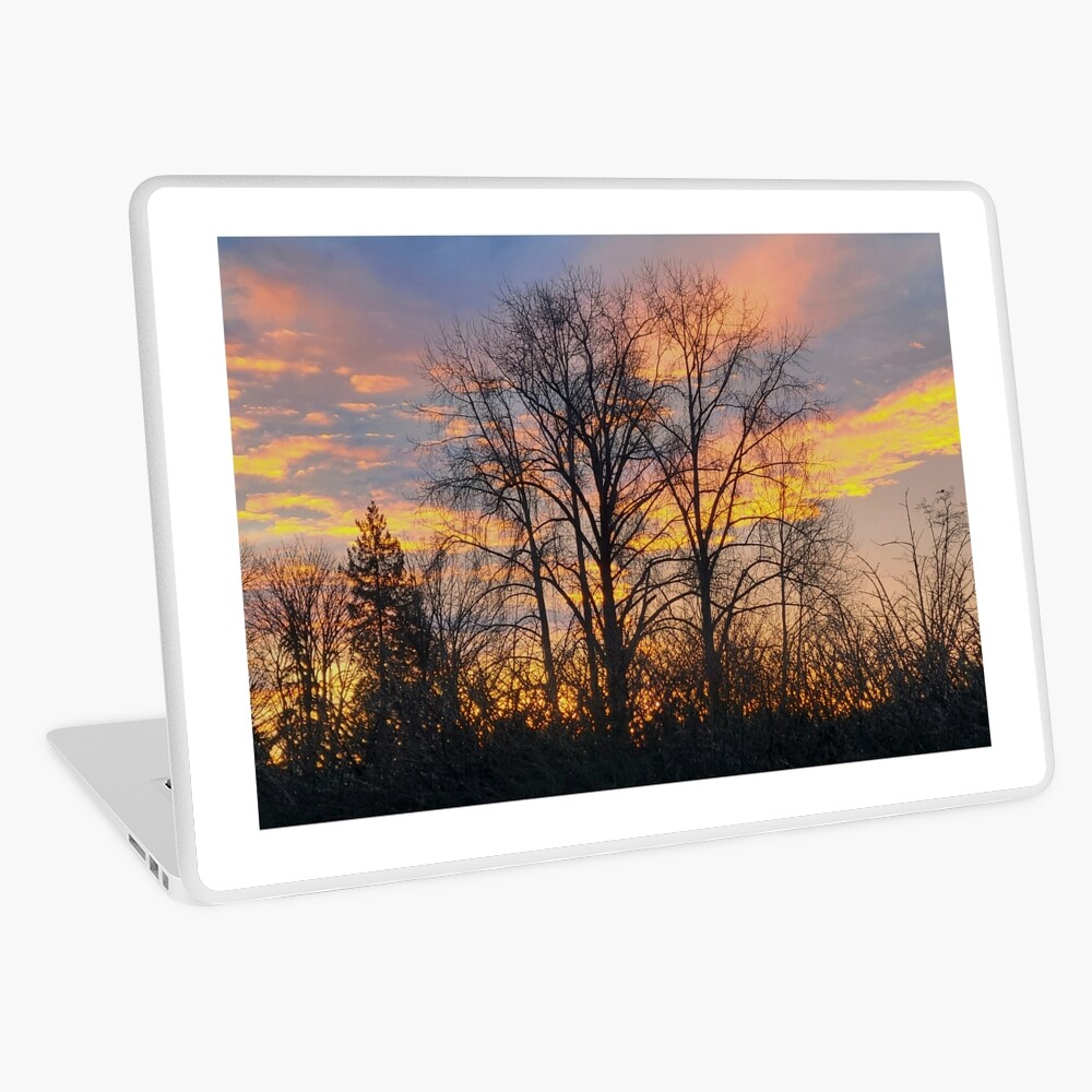 Item preview, Laptop Skin designed and sold by Approxknowledge.