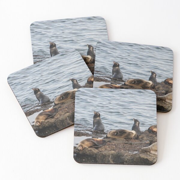Item preview, California Seals designed and sold by heatherfriedman.