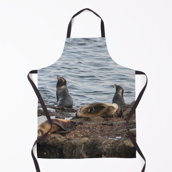 Item preview, California Seals designed and sold by heatherfriedman.