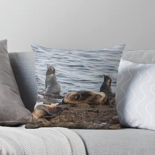 Item preview, California Seals designed and sold by heatherfriedman.