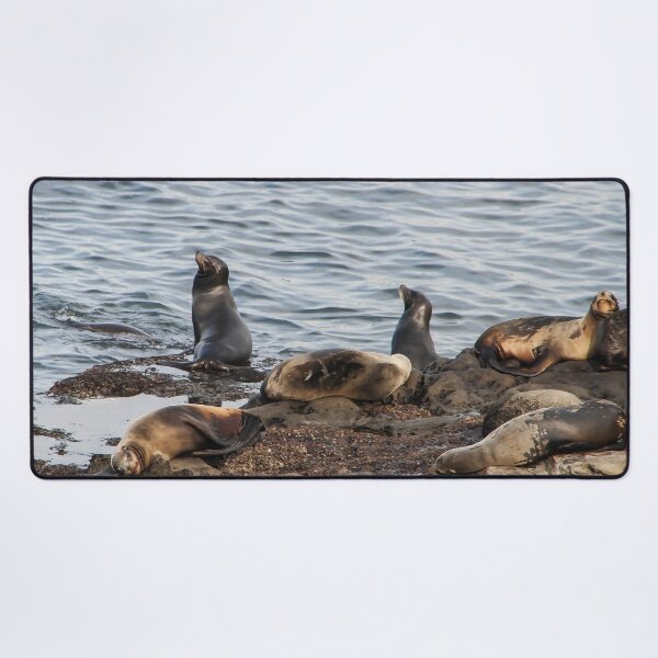 Item preview, California Seals designed and sold by heatherfriedman.