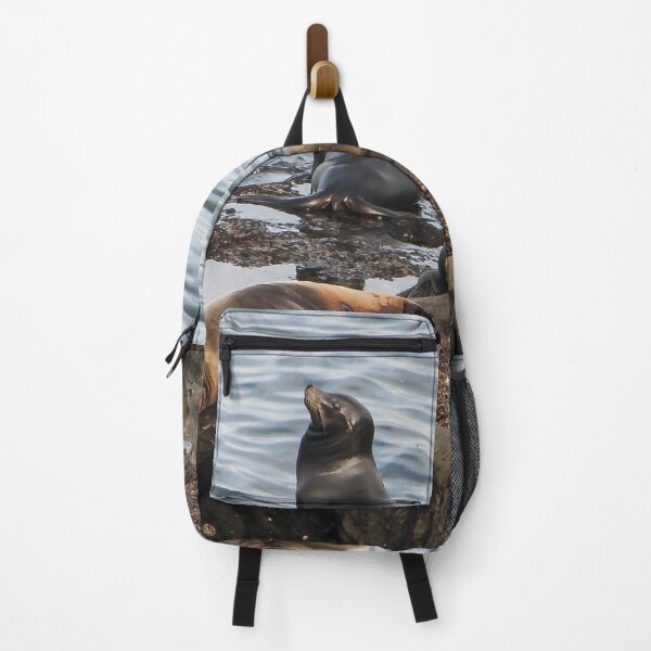 Item preview, California Seals designed and sold by heatherfriedman.