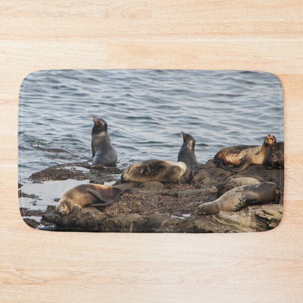 Item preview, California Seals designed and sold by heatherfriedman.