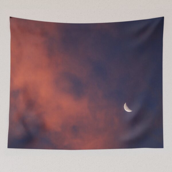 Artikelvorschau, Versteckspiel und suche den Mond entworfen und verkauft von JulieMaxwell.