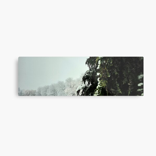 Item preview, Snowy Evergreen Whisper designed and sold by Kevin Schultz Photography & Such.