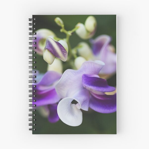Item preview, New Wonder Of Corkscrew Flower designed and sold by Joy Watson - Natural Light Photography .