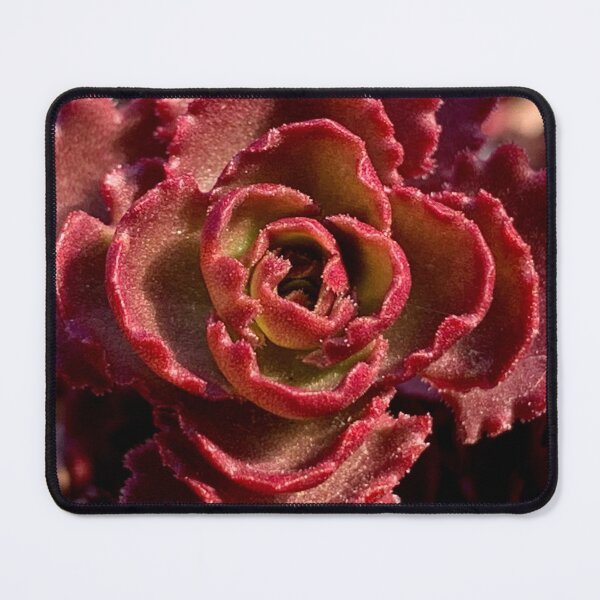 Item preview, Rosette designed and sold by Betsy Phillips.