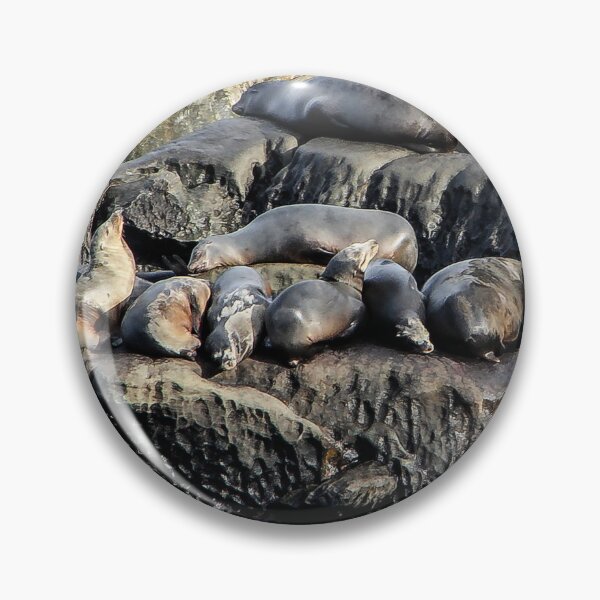 Item preview, Sleepy Seals designed and sold by heatherfriedman.