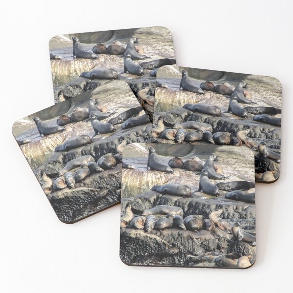 Item preview, Sleepy Seals designed and sold by heatherfriedman.