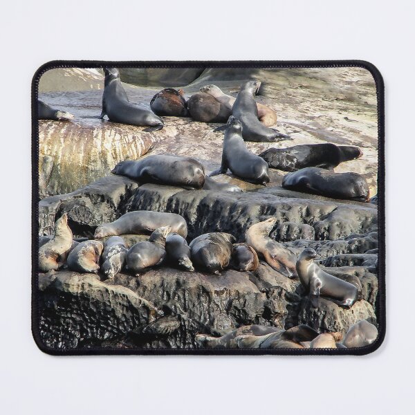 Item preview, Sleepy Seals designed and sold by heatherfriedman.