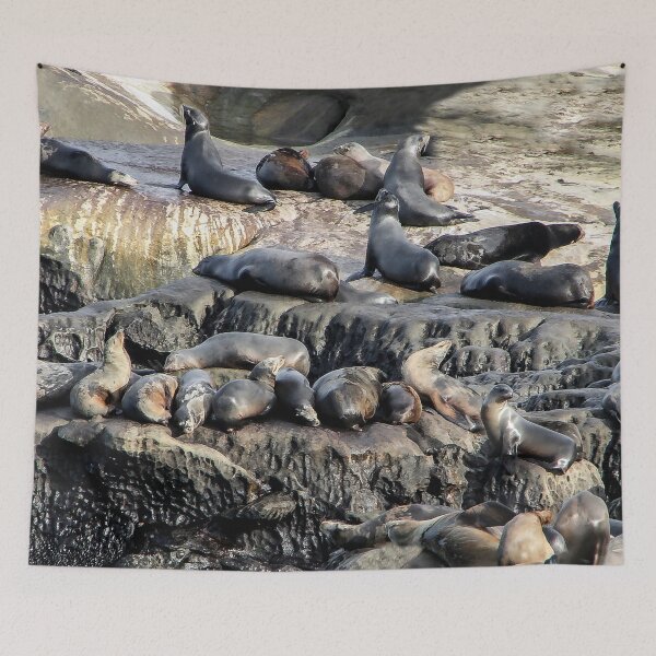 Item preview, Sleepy Seals designed and sold by heatherfriedman.