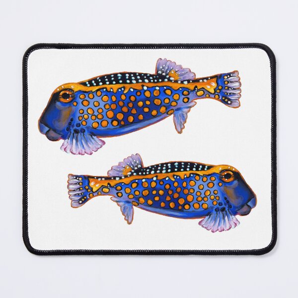 Item preview, Two Box Fish designed and sold by Julie Ann Accornero.