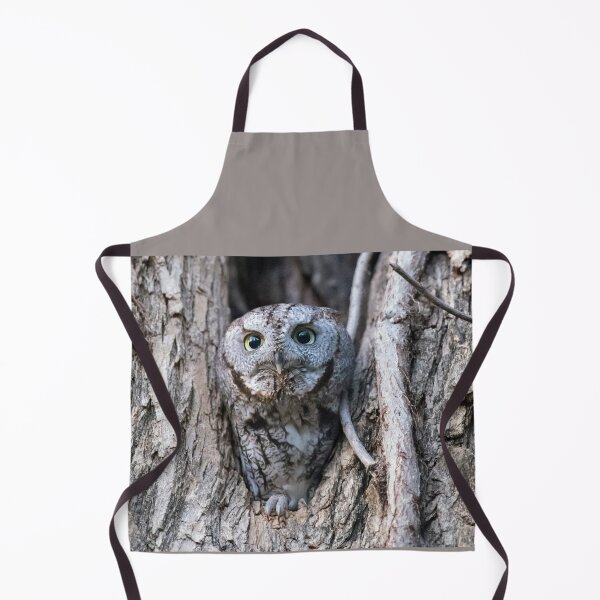 Item preview, Screech owl - Time to Takeoff designed and sold by Puttaswamy Ravishankar.