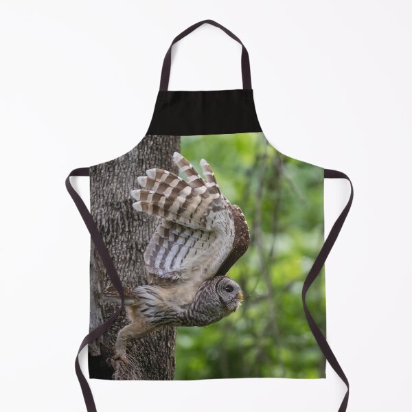 Item preview, Mama Barred Owl taking off designed and sold by Puttaswamy Ravishankar.