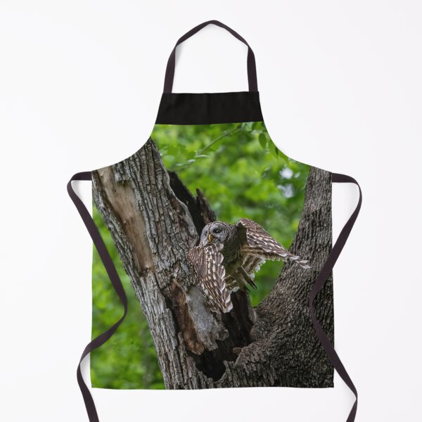 Item preview, Mama Barred Owl Hunting Face designed and sold by Puttaswamy Ravishankar.