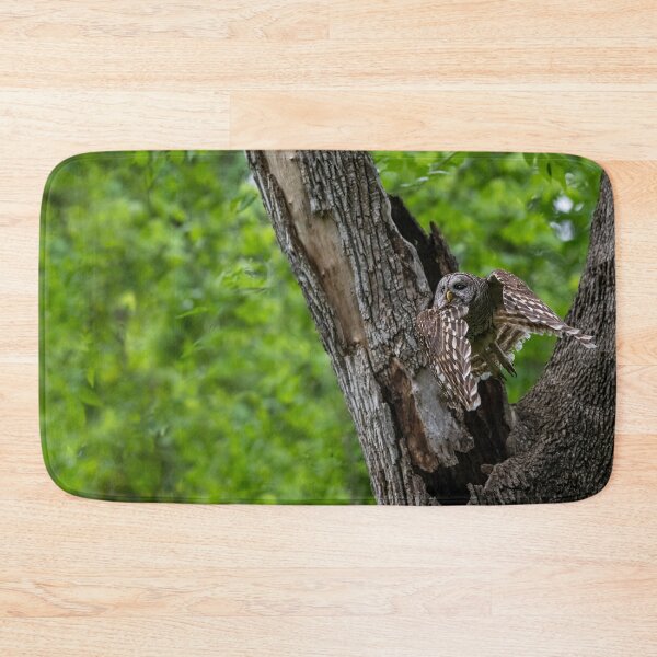 Item preview, Mama Barred Owl Hunting Face designed and sold by Puttaswamy Ravishankar.