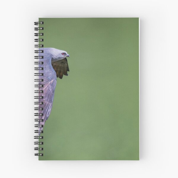 Item preview, Mississippi Kite in Flight designed and sold by Puttaswamy Ravishankar.