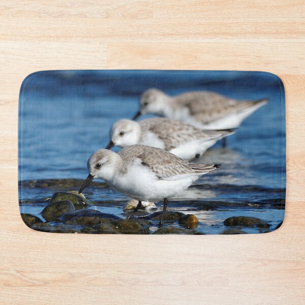 Item preview, Sanderlings Feasting in Staggered Synchronicity on Winter Shoreline designed and sold by walkswithnature.