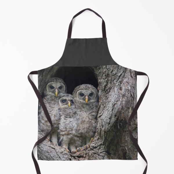 Item preview, Getting Ready to Fledge designed and sold by Puttaswamy Ravishankar.