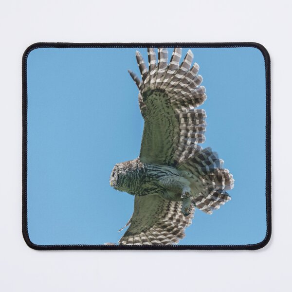 Item preview, Blue Sky Flight designed and sold by Puttaswamy Ravishankar.