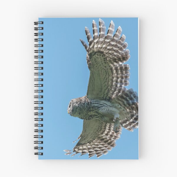 Item preview, Blue Sky Flight designed and sold by Puttaswamy Ravishankar.