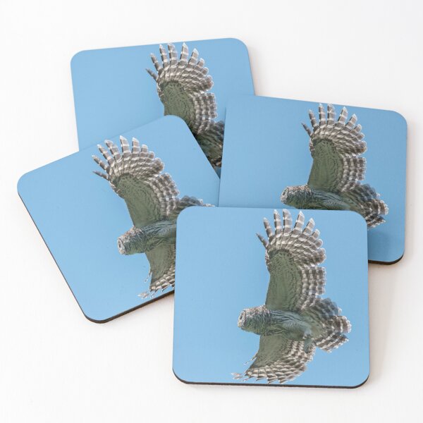Item preview, Blue Sky Flight designed and sold by Puttaswamy Ravishankar.