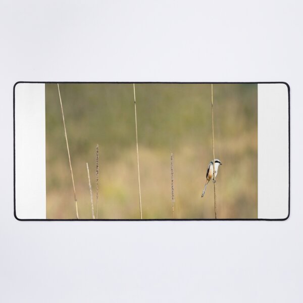 Item preview, Well Balanced designed and sold by Puttaswamy Ravishankar.