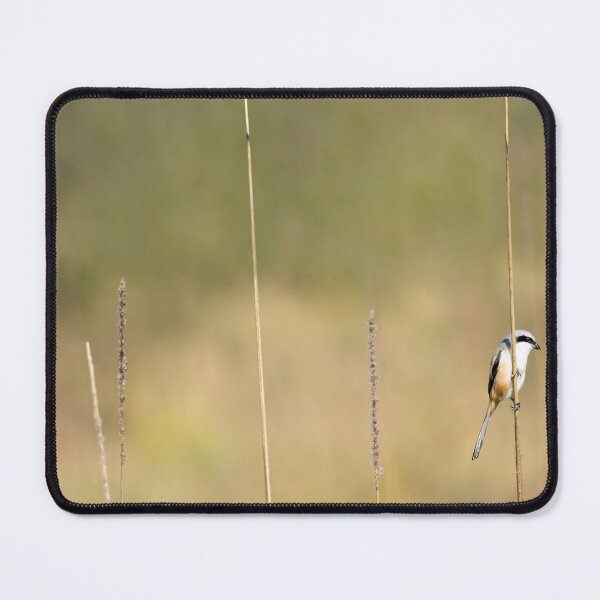 Item preview, Well Balanced designed and sold by Puttaswamy Ravishankar.