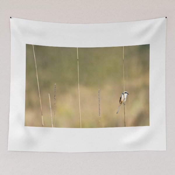 Item preview, Well Balanced designed and sold by Puttaswamy Ravishankar.