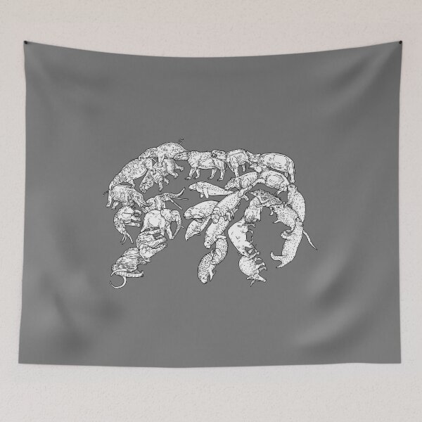 Item preview, Afrotheria – Evolution designed and sold by EvolutionPoster.